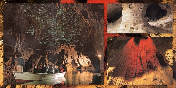 A Waitomo-barlangban a szép cseppkövek mellett parázsférgeket is láthatunk. A Waitomo-barlangban a szép cseppkövek mellett parázsférgeket is láthatunk.